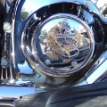    Live to Ride, Ride to Live                            