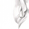 Some Guys Ear