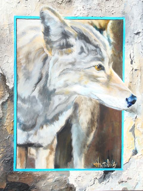 Coyote